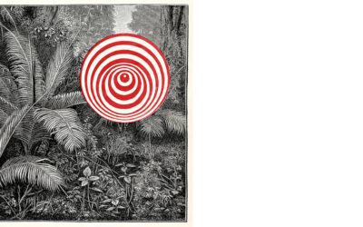 ❤️ Goran Kajfeš