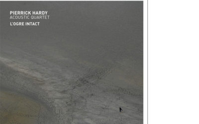 Pierrick Hardy Acoustic Quartet