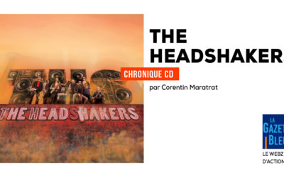 The HeadShakers