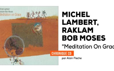 Michel Lambert, Raklam Bob Moses