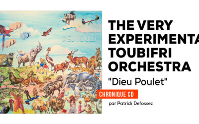The Very Experimental Toubifri Orchestra