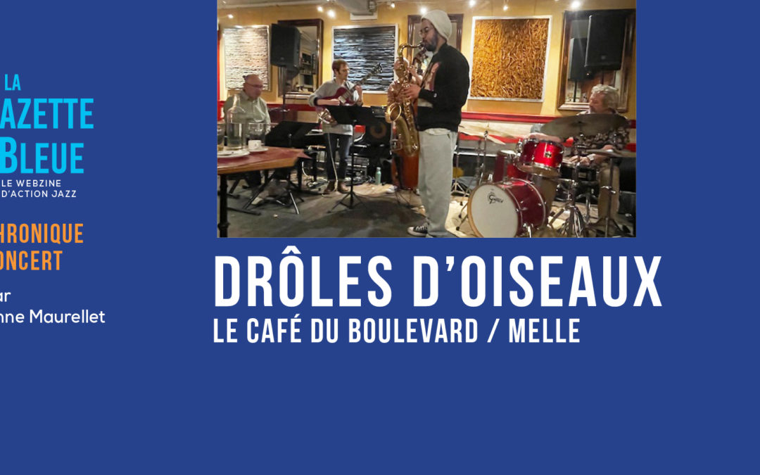 Drôles d&rsquo;oiseaux