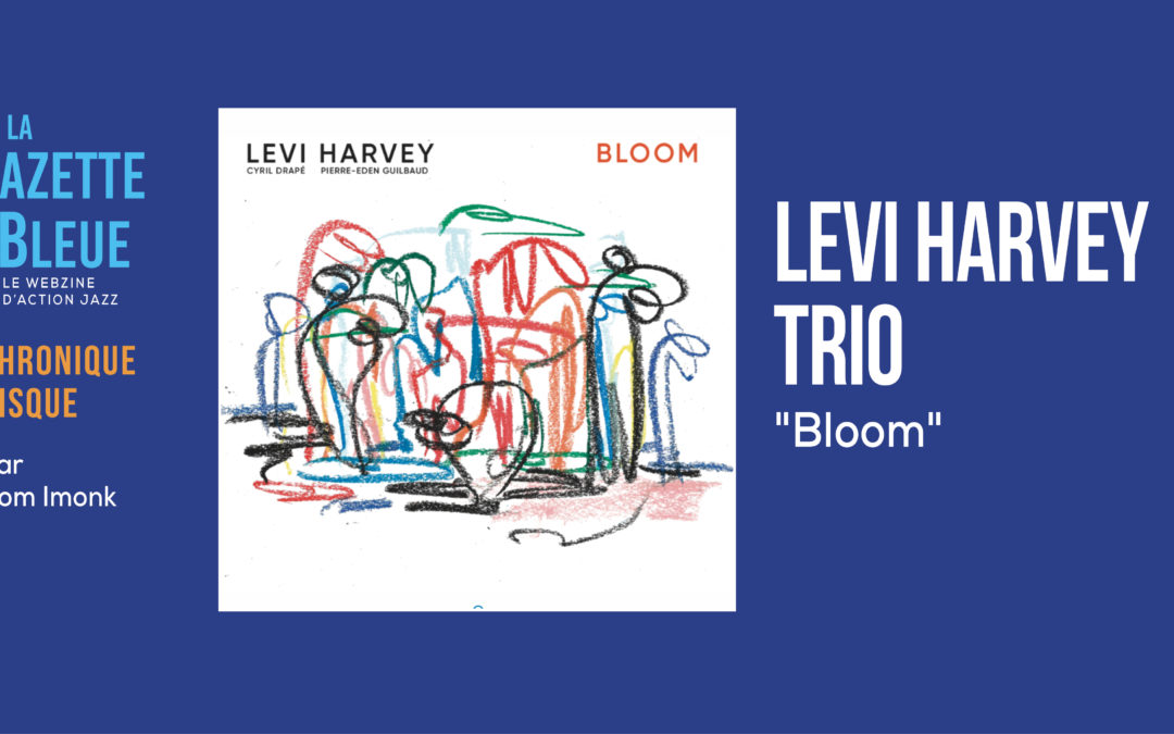Levi Harvey Trio