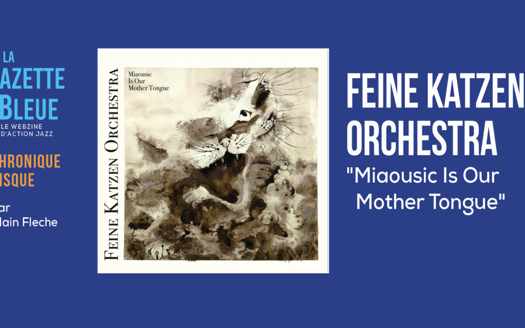 Feine Katzen Orchestra