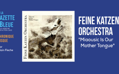 Feine Katzen Orchestra