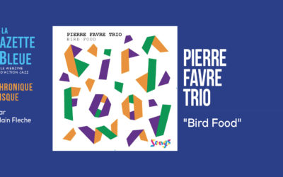 Pierre Favre Trio